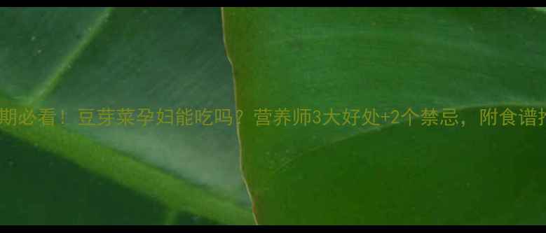 图片 🌱孕期必看！豆芽菜孕妇能吃吗？营养师3大好处+2个禁忌，附食谱推荐2