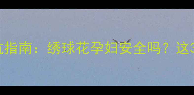 图片 🌸孕期养花避坑指南：绣球花孕妇安全吗？这3点必须知道！1