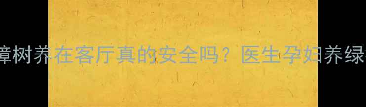 图片 🌿孕妈必看！樟树养在客厅真的安全吗？医生孕妇养绿植的三大雷区1