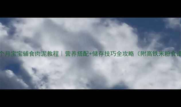 图片 🍼7个月宝宝辅食肉泥教程｜营养搭配+储存技巧全攻略（附高铁米粉食谱）1