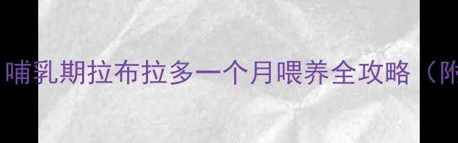 图片 🐾新手妈妈必看！哺乳期拉布拉多一个月喂养全攻略（附食谱+注意事项）