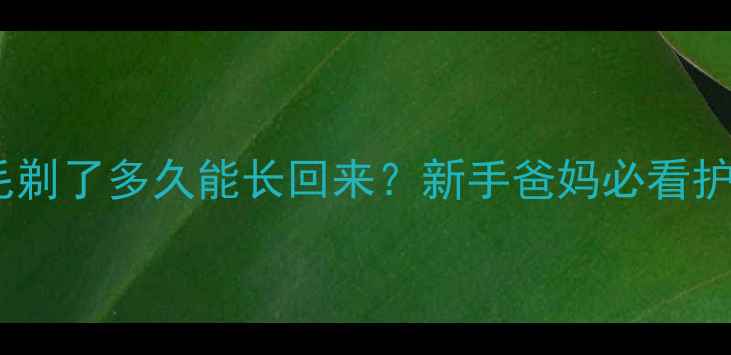 图片 👶宝宝眉毛剃了多久能长回来？新手爸妈必看护理指南！2