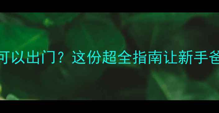 图片 👶🏻宝宝几个月可以出门？这份超全指南让新手爸妈安心带娃！✨