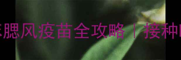 图片 🔥18个月宝宝必看！麻腮风疫苗全攻略｜接种时间注意事项副作用💉