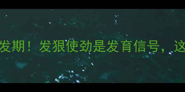 图片 🔥六个月宝宝大动作爆发期！发狠使劲是发育信号，这样训练翻爬稳如小鹿🦌