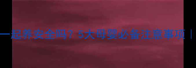 图片 🔥婴儿和狗狗一起养安全吗？5大母婴必备注意事项｜附养宠指南🐾