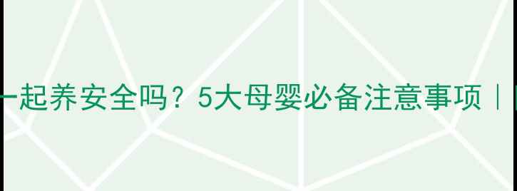 图片 🔥婴儿和狗狗一起养安全吗？5大母婴必备注意事项｜附养宠指南🐾1