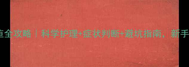 图片 🔥新生儿黄疸全攻略｜科学护理+症状判断+避坑指南，新手妈妈必看！2